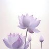 Nicola Purdy