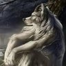 Everardo Gaylord