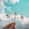 Unique Considine