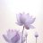 Nicola Purdy