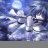 Mrs. Tyra Crona I